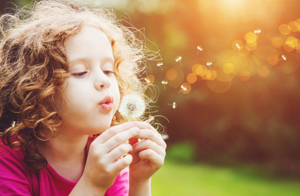 Child blowing seeds from a dandelion.